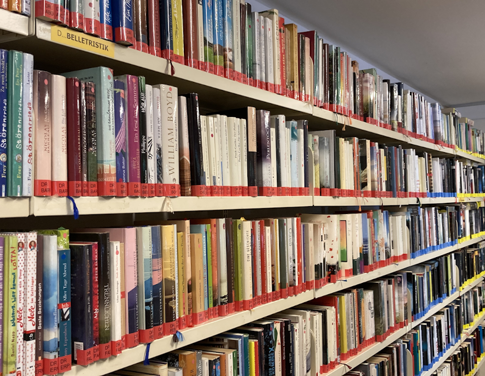 Regal Bibliothek