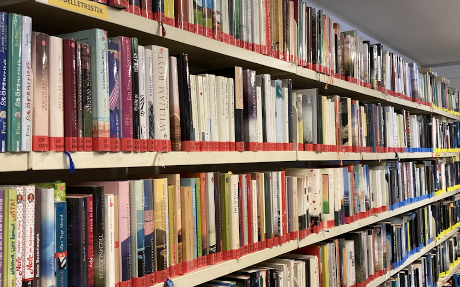 Regal Bibliothek